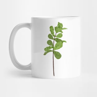 Fiddle Fig Botanical Mug